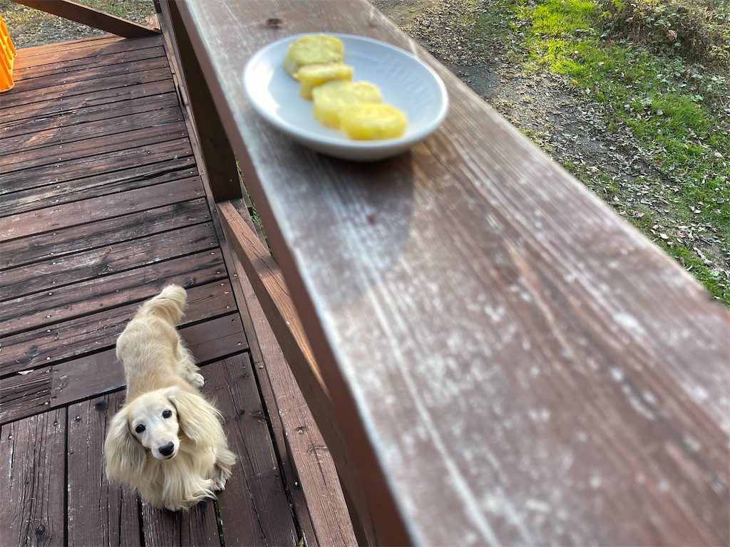 f:id:captaindog082:20211024173045j:image