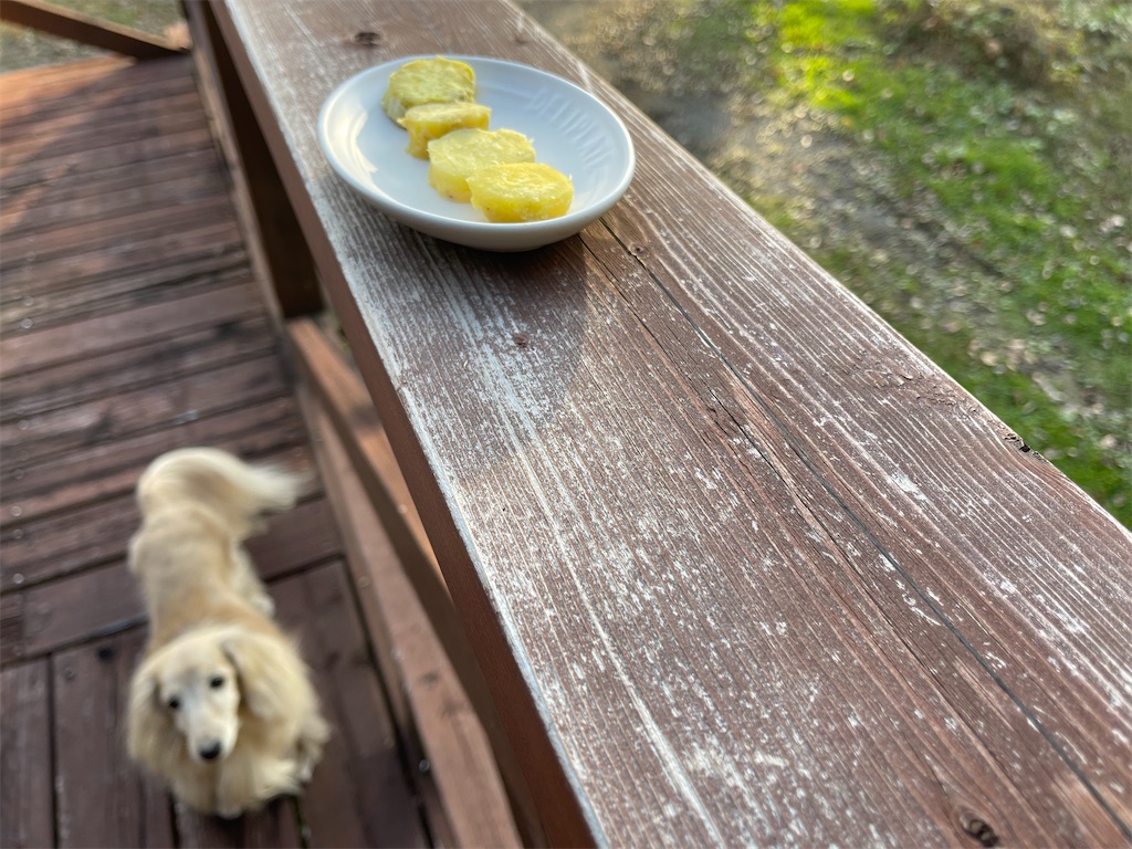 f:id:captaindog082:20211024173120j:image