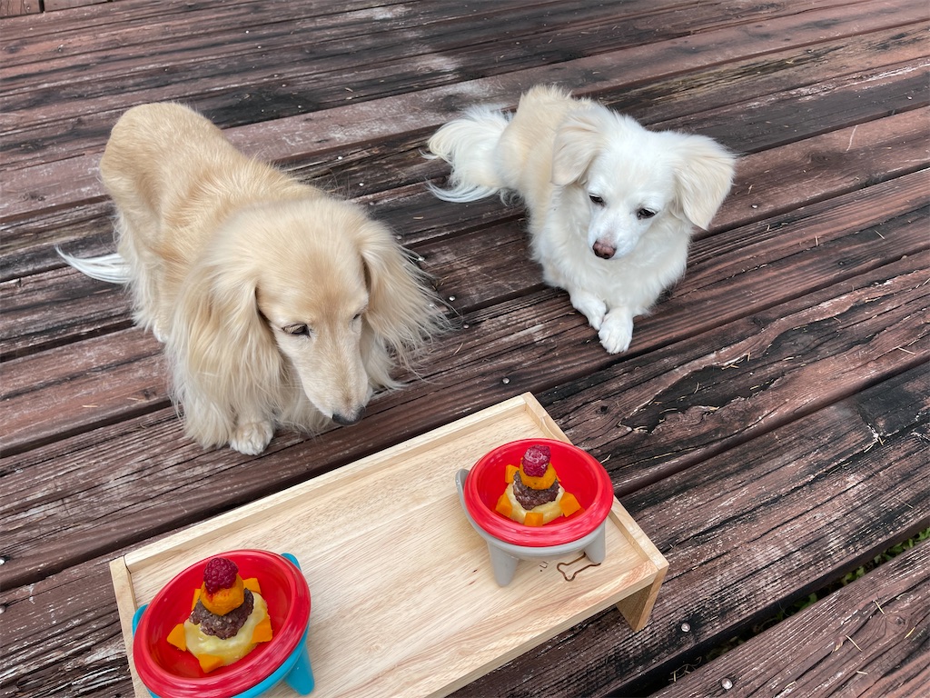 f:id:captaindog082:20211031210031j:image f:id:captaindog082:20211031210031j:image