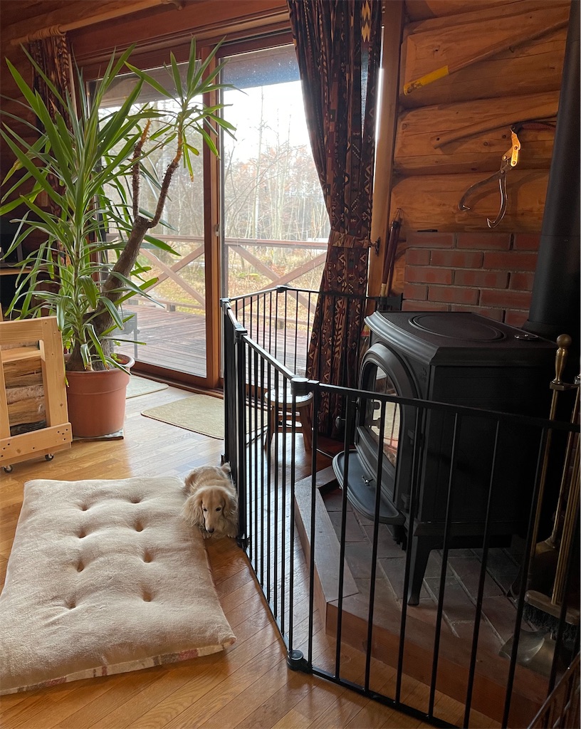 f:id:captaindog082:20211121111720j:image