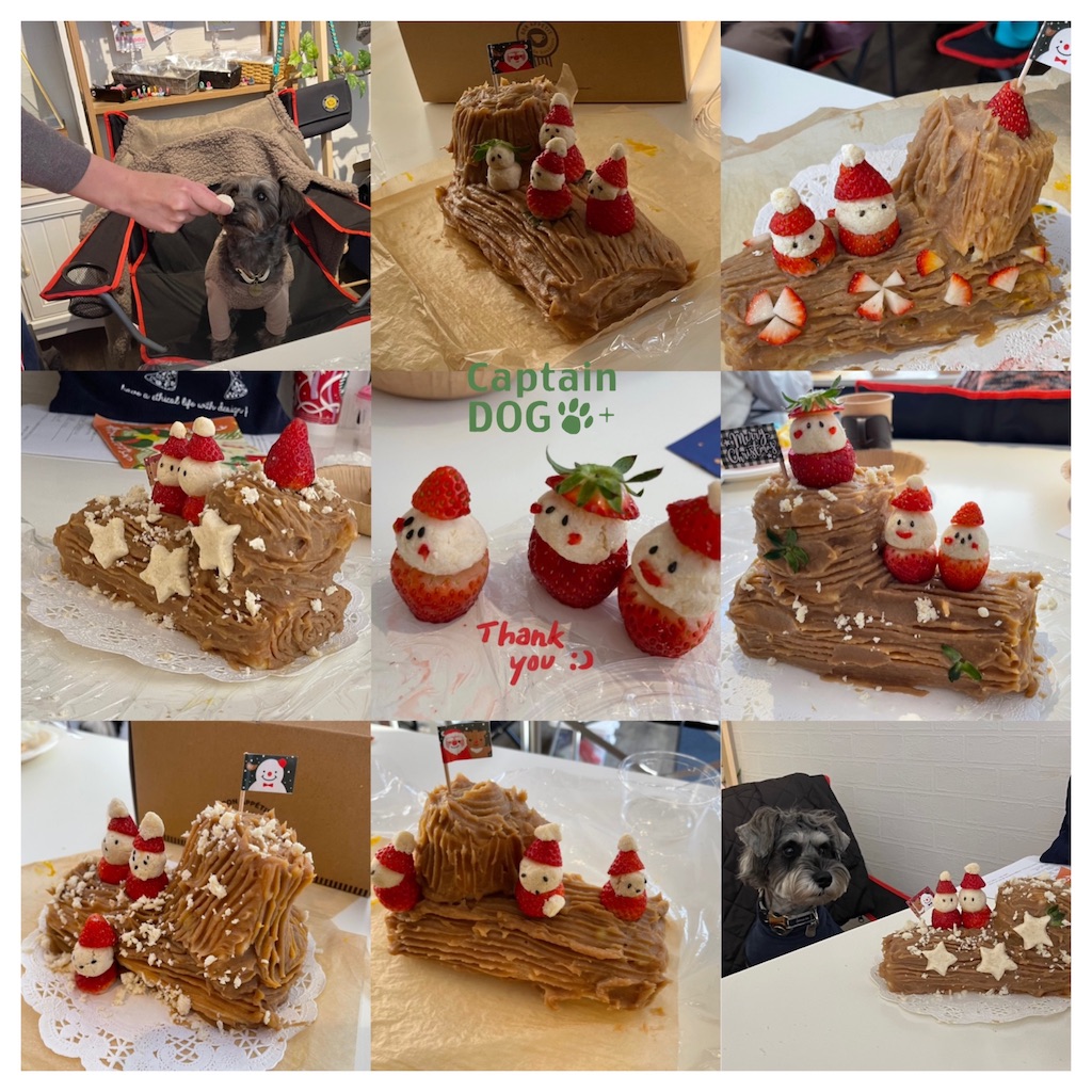 f:id:captaindog082:20211121182523j:image