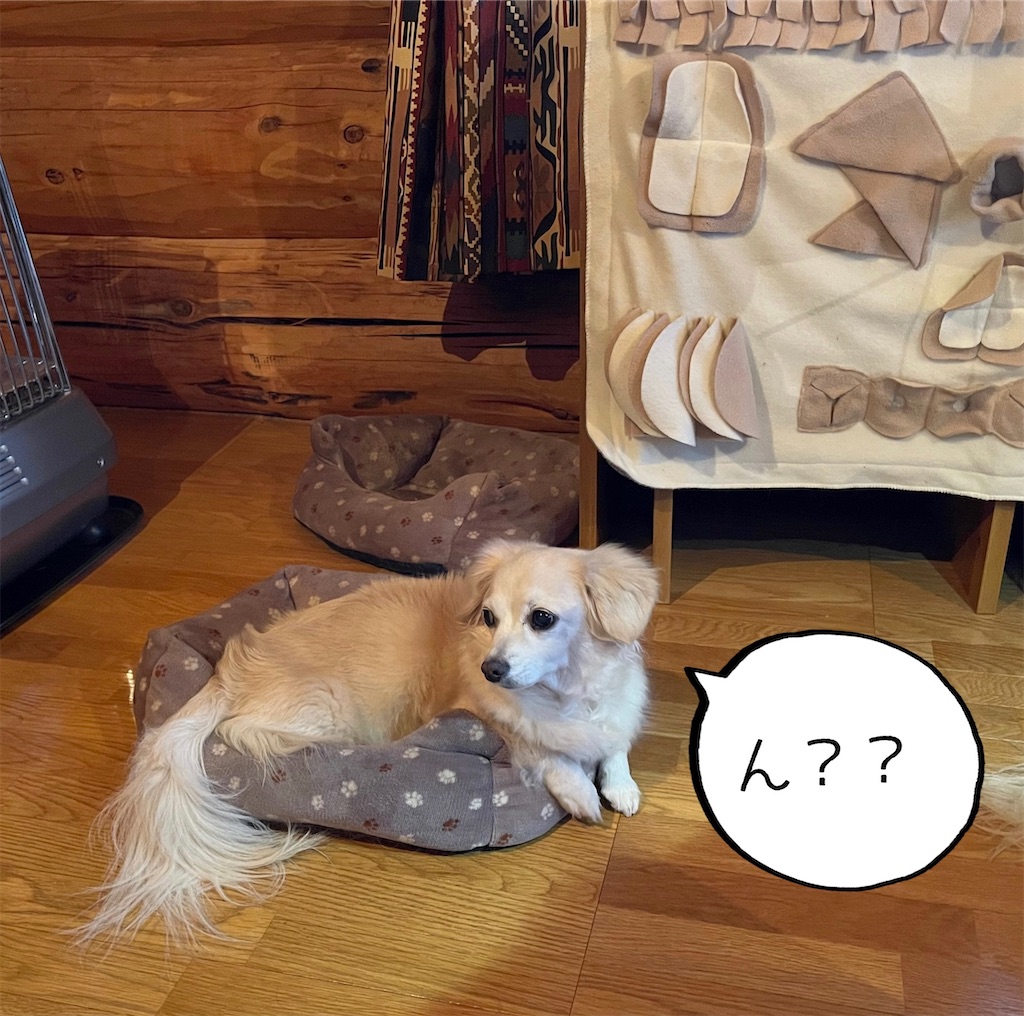 f:id:captaindog082:20211209081804j:image