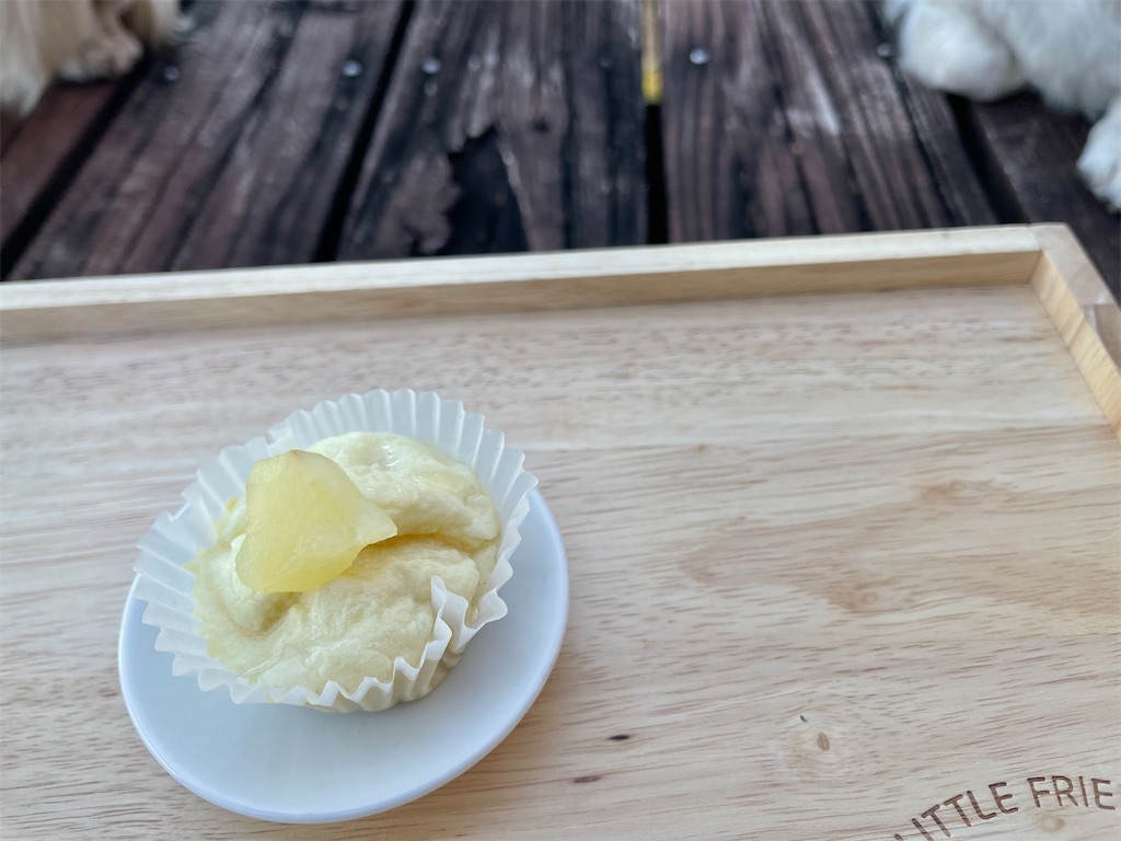 f:id:captaindog082:20211213220406j:image