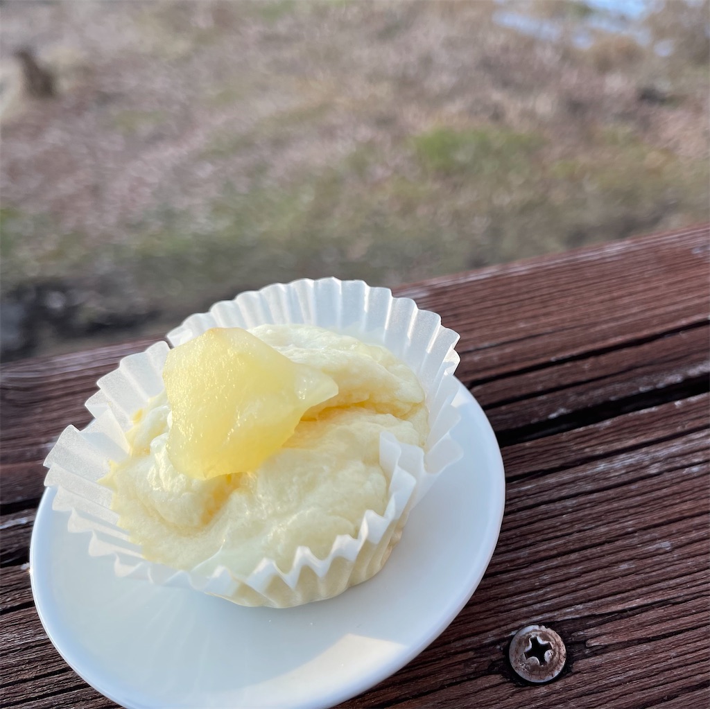 f:id:captaindog082:20211213220408j:image