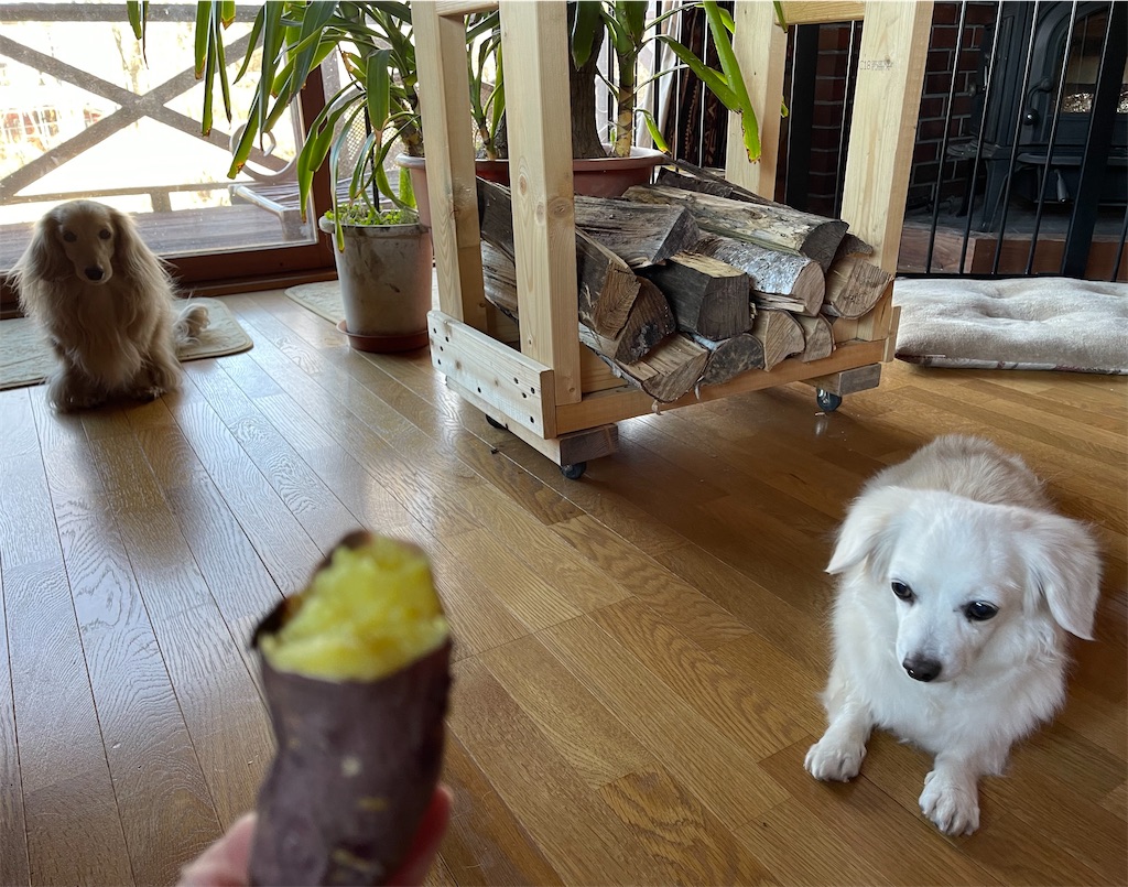 f:id:captaindog082:20211214114501j:image