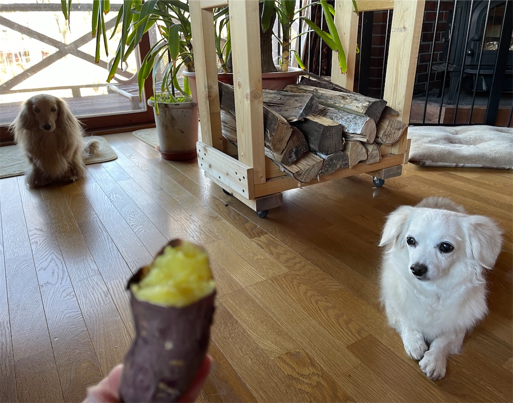 f:id:captaindog082:20211214114504j:image