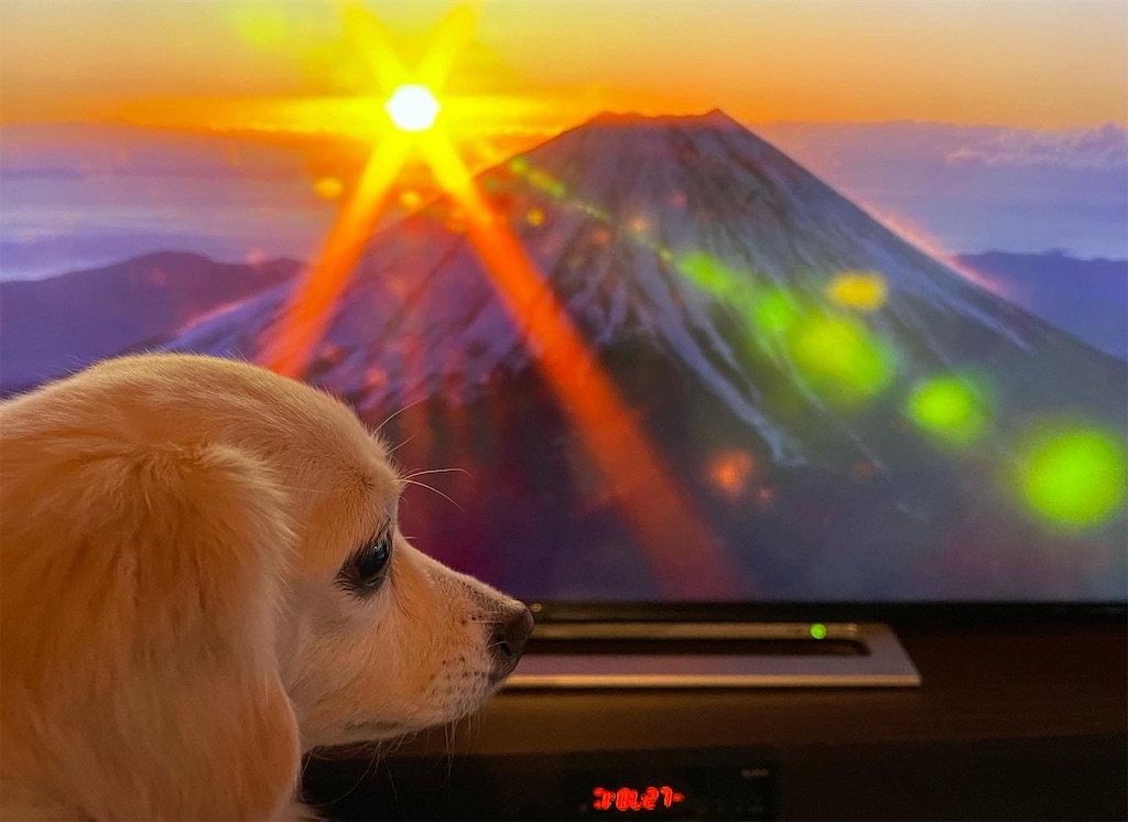 f:id:captaindog082:20220101145549j:image