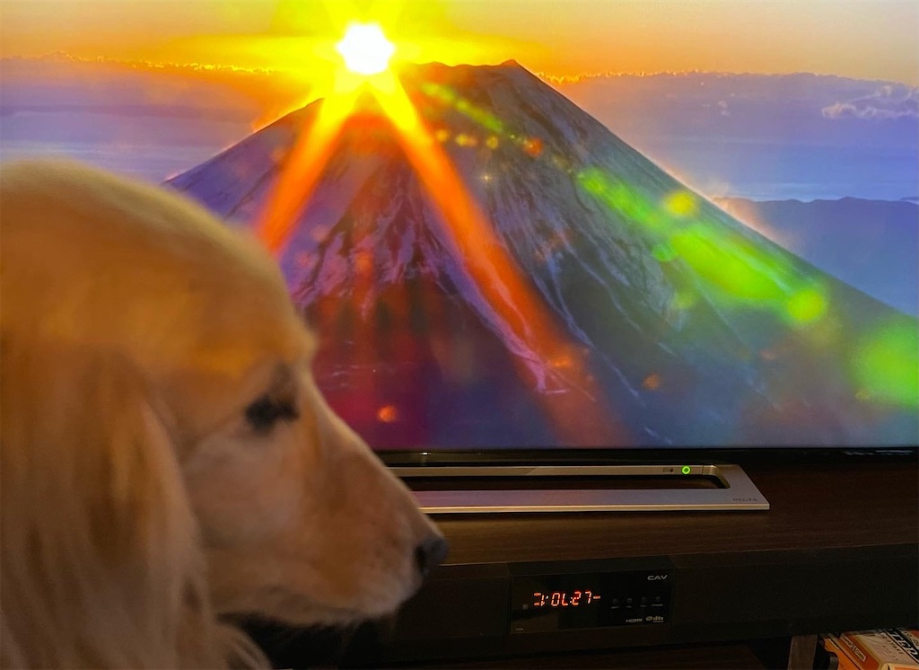 f:id:captaindog082:20220101145552j:image