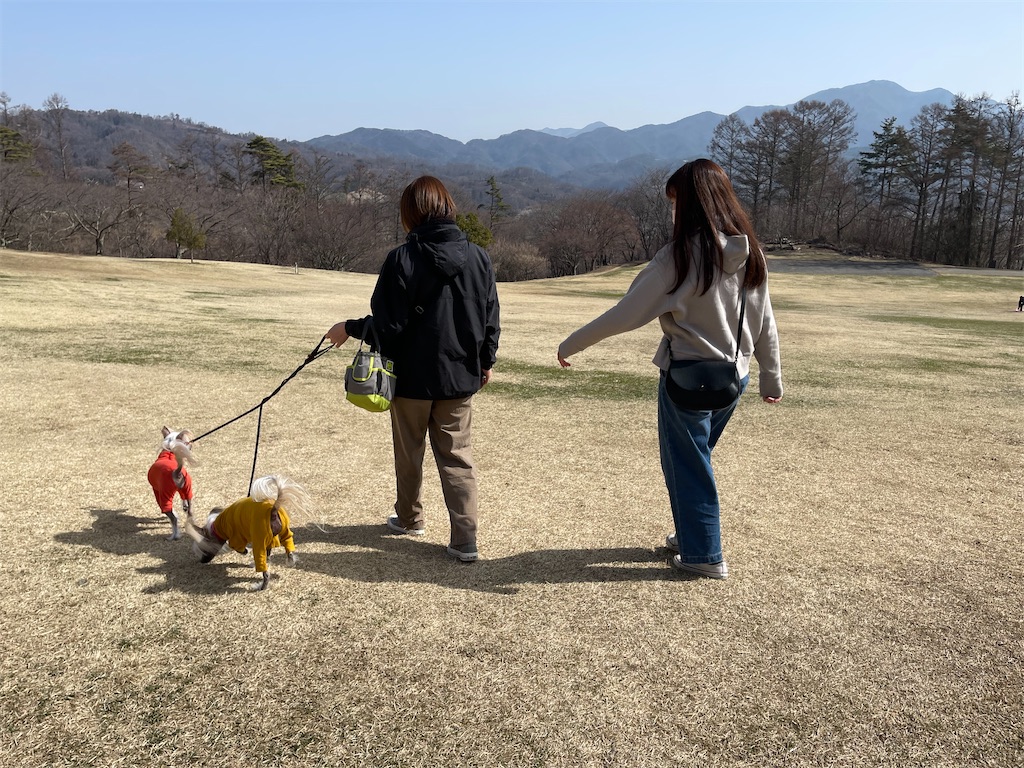 f:id:captaindog082:20220326221106j:image