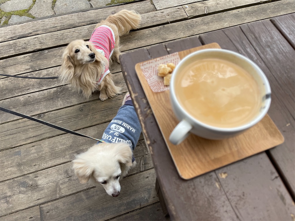 f:id:captaindog082:20220330205336j:image f:id:captaindog082:20220330205336j:image