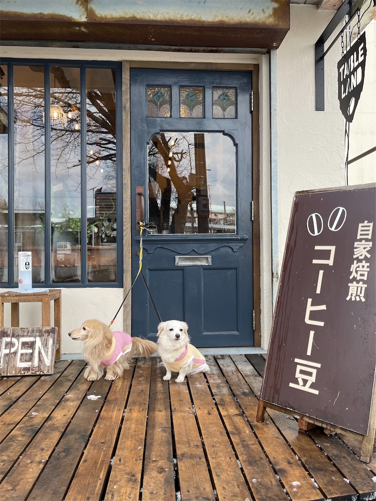 f:id:captaindog082:20220407085441j:image