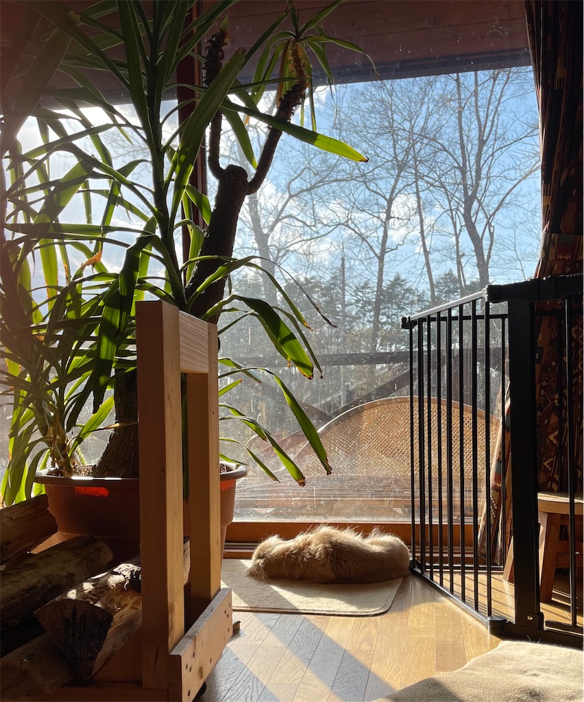 f:id:captaindog082:20220419172107j:image