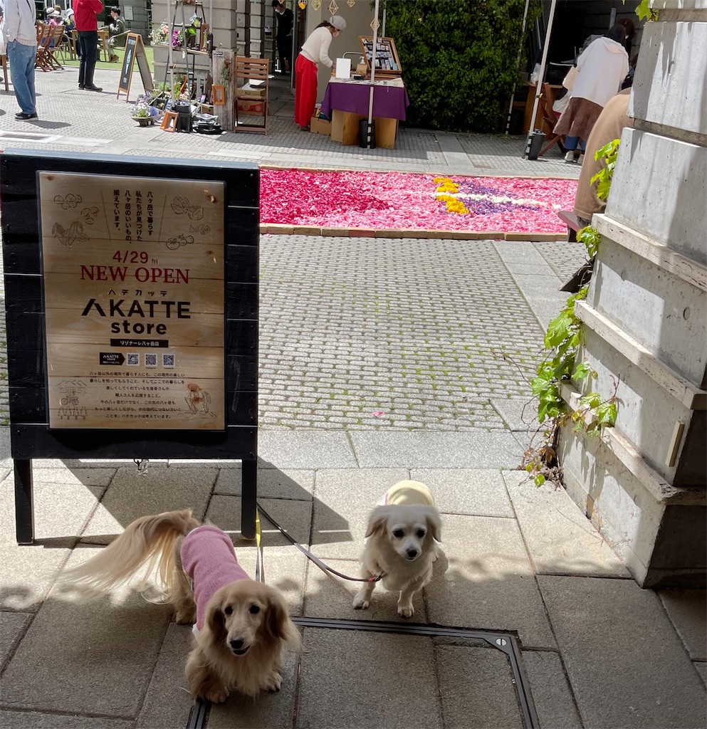 f:id:captaindog082:20220501180455j:image