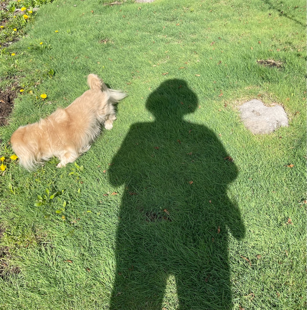 f:id:captaindog082:20220504195028j:image