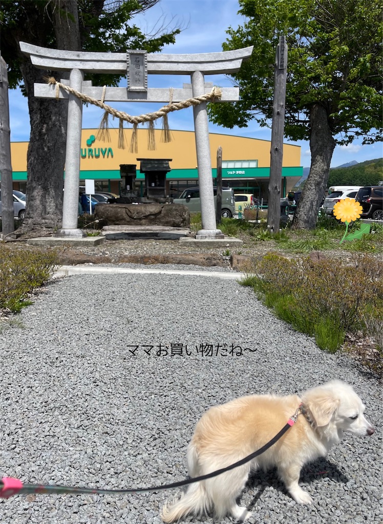 f:id:captaindog082:20220510182922j:image
