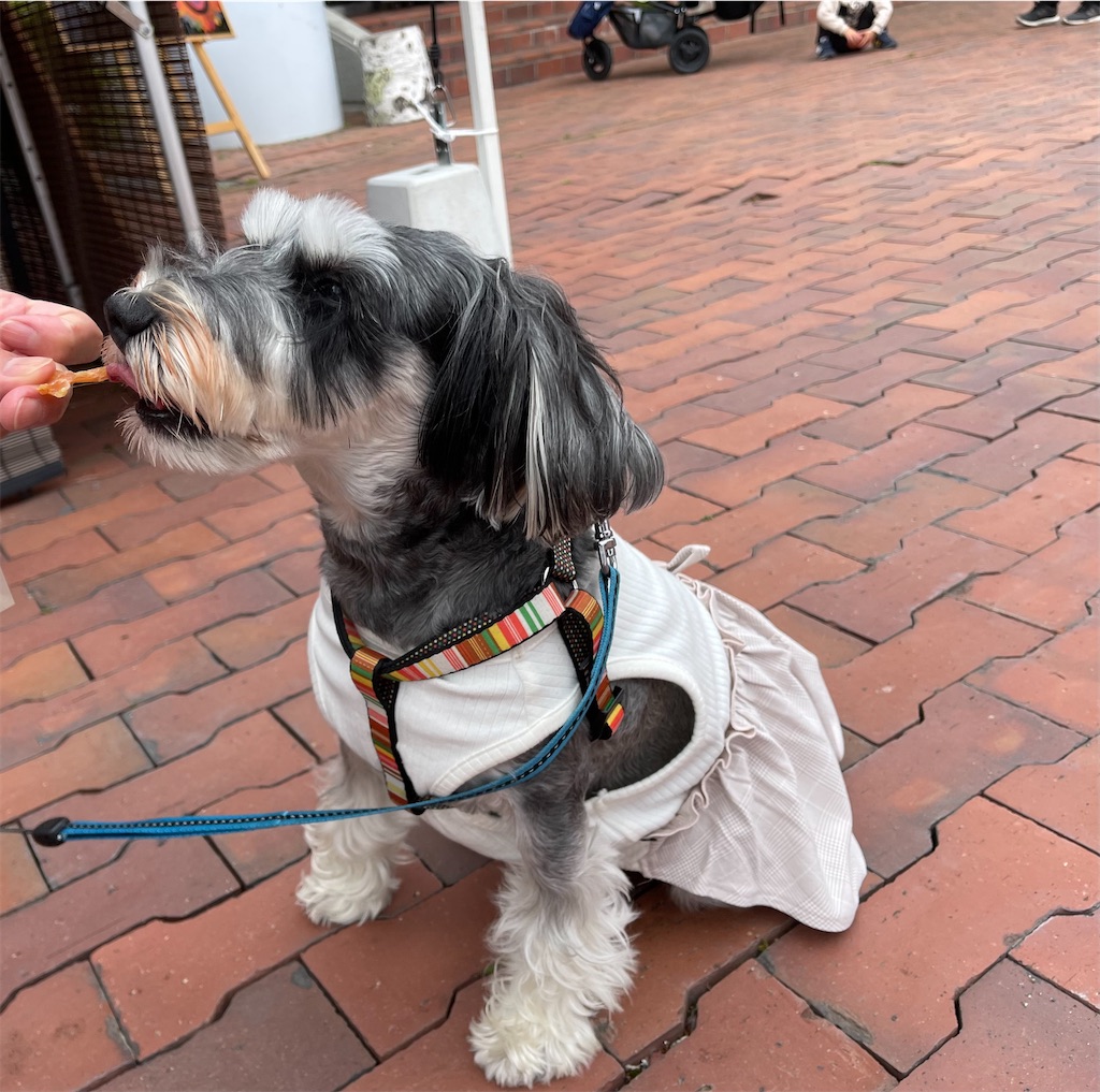 f:id:captaindog082:20220515214058j:image