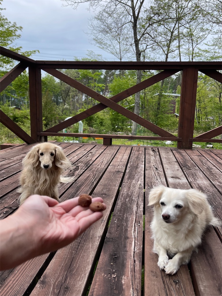 f:id:captaindog082:20220516221219j:image