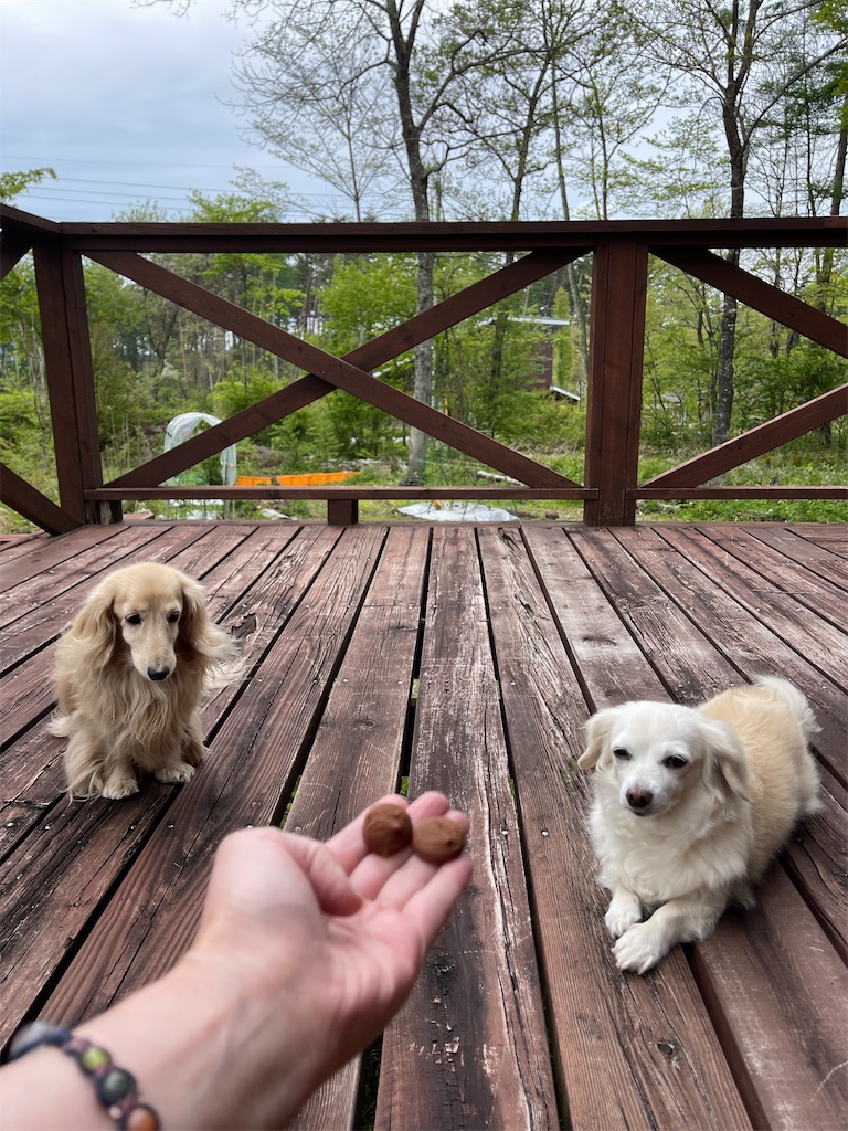 f:id:captaindog082:20220516221222j:image