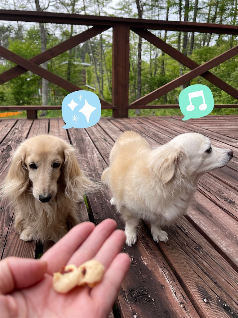 f:id:captaindog082:20220520191425j:image