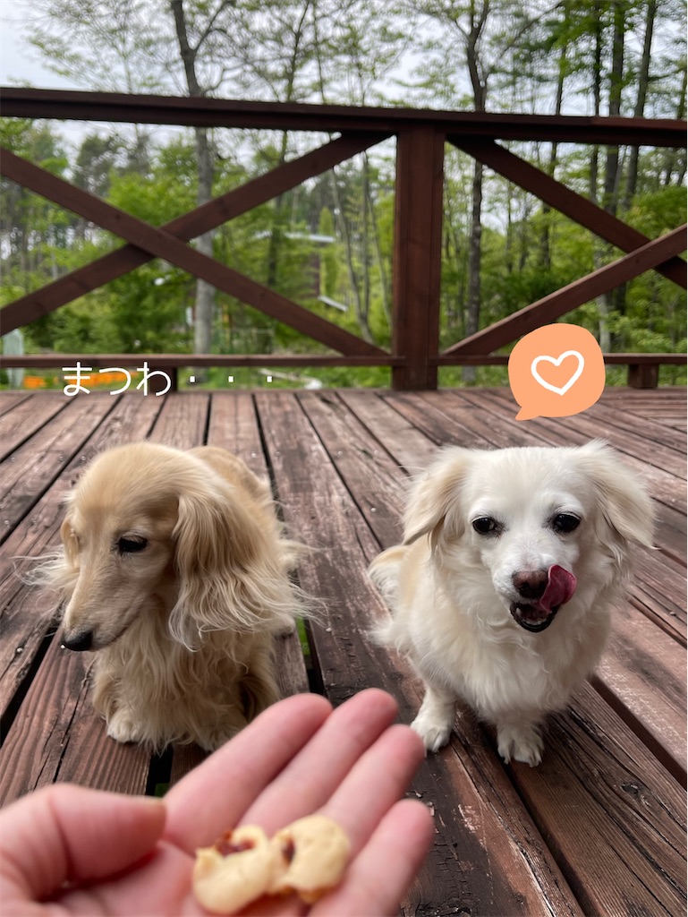 f:id:captaindog082:20220520191428j:image