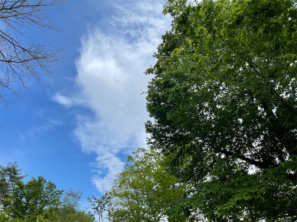 f:id:captaindog082:20220525165251j:image