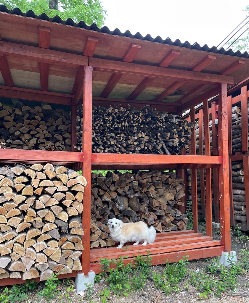 f:id:captaindog082:20220530225439j:image