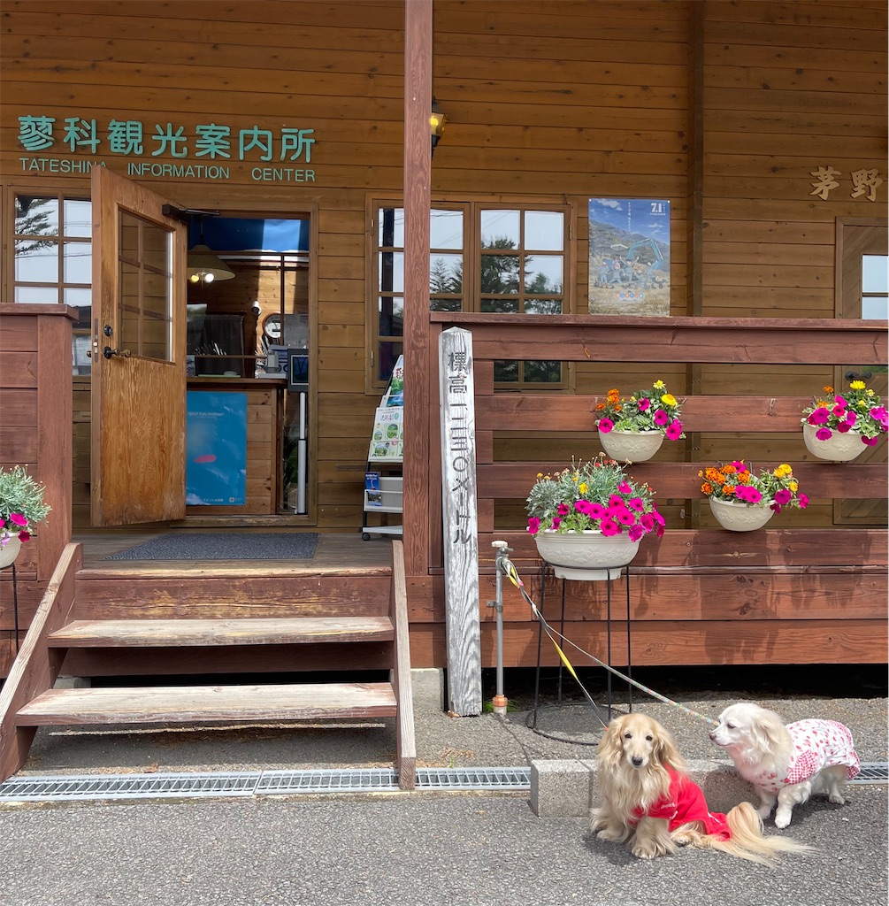 f:id:captaindog082:20220601235430j:image