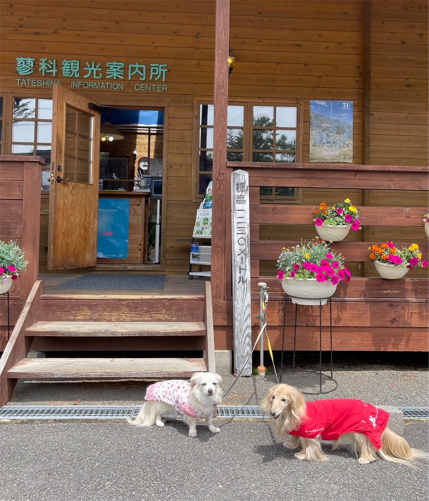 f:id:captaindog082:20220601235446j:image