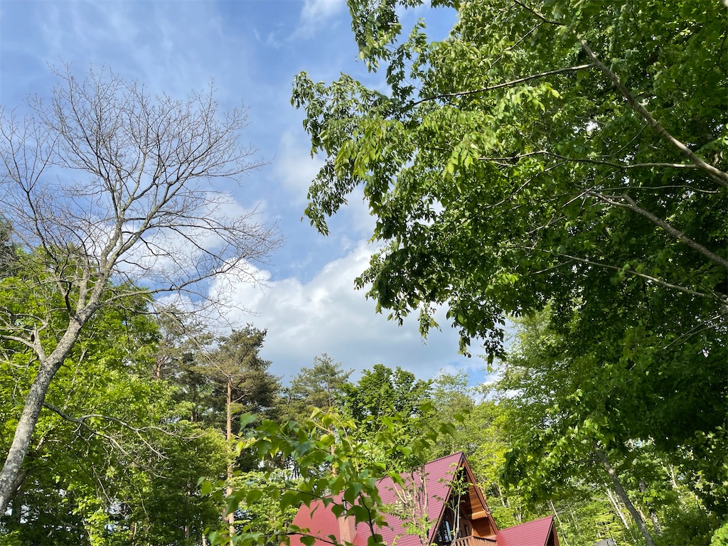 f:id:captaindog082:20220603234420j:image