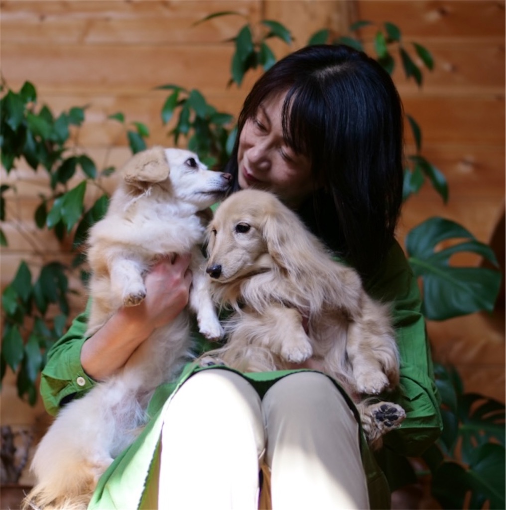 f:id:captaindog082:20220621223759j:image