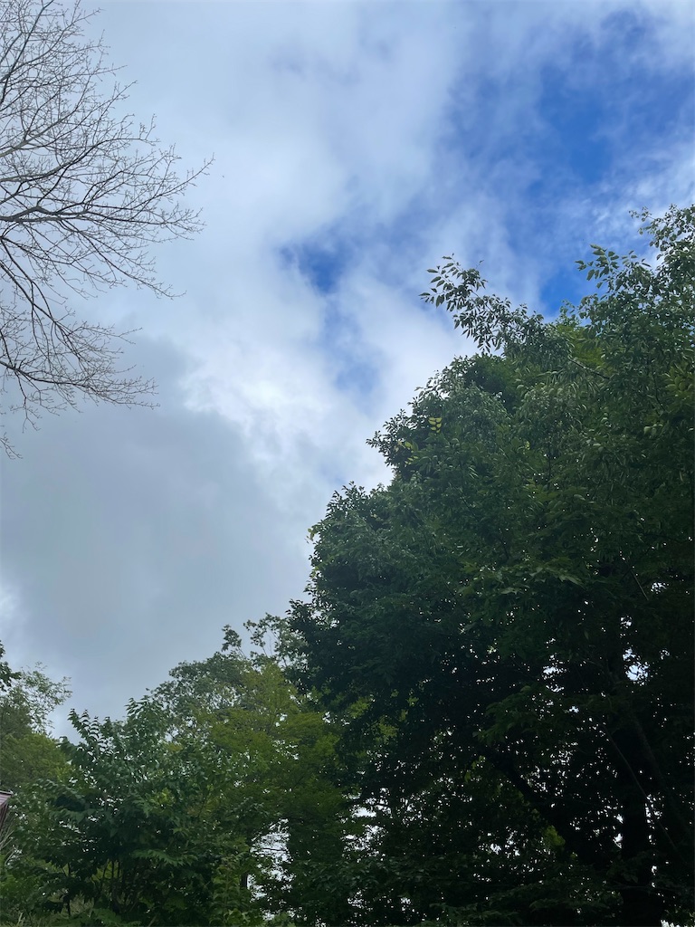 f:id:captaindog082:20220727223028j:image f:id:captaindog082:20220727223028j:image