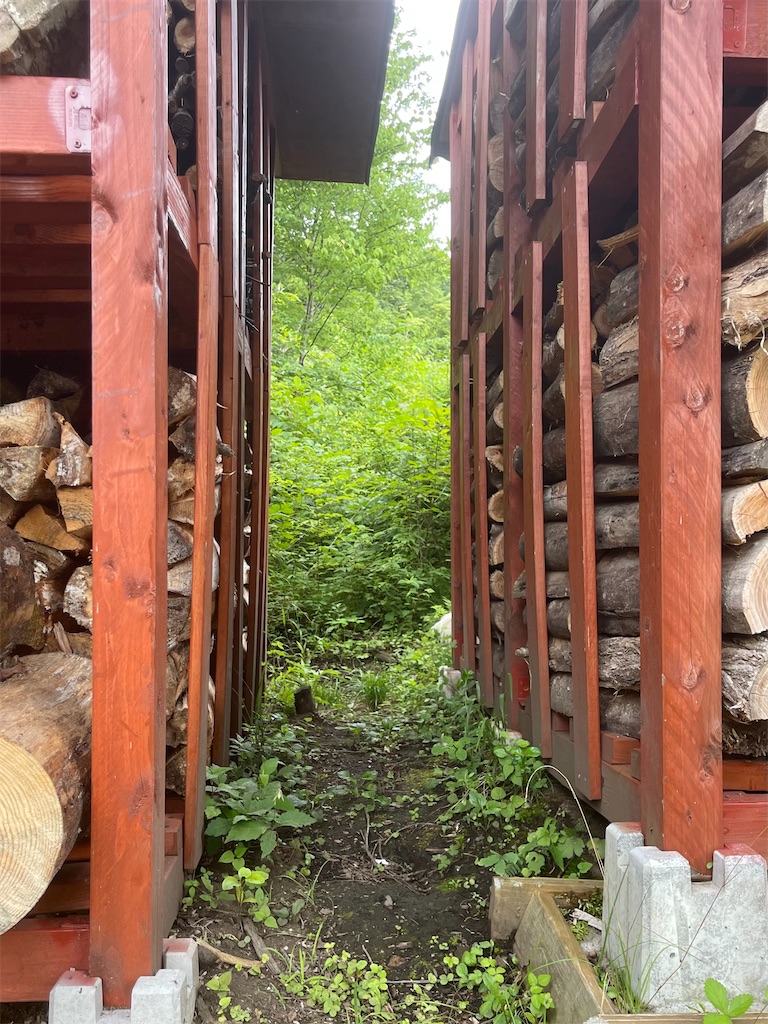 f:id:captaindog082:20220727223031j:image f:id:captaindog082:20220727223031j:image