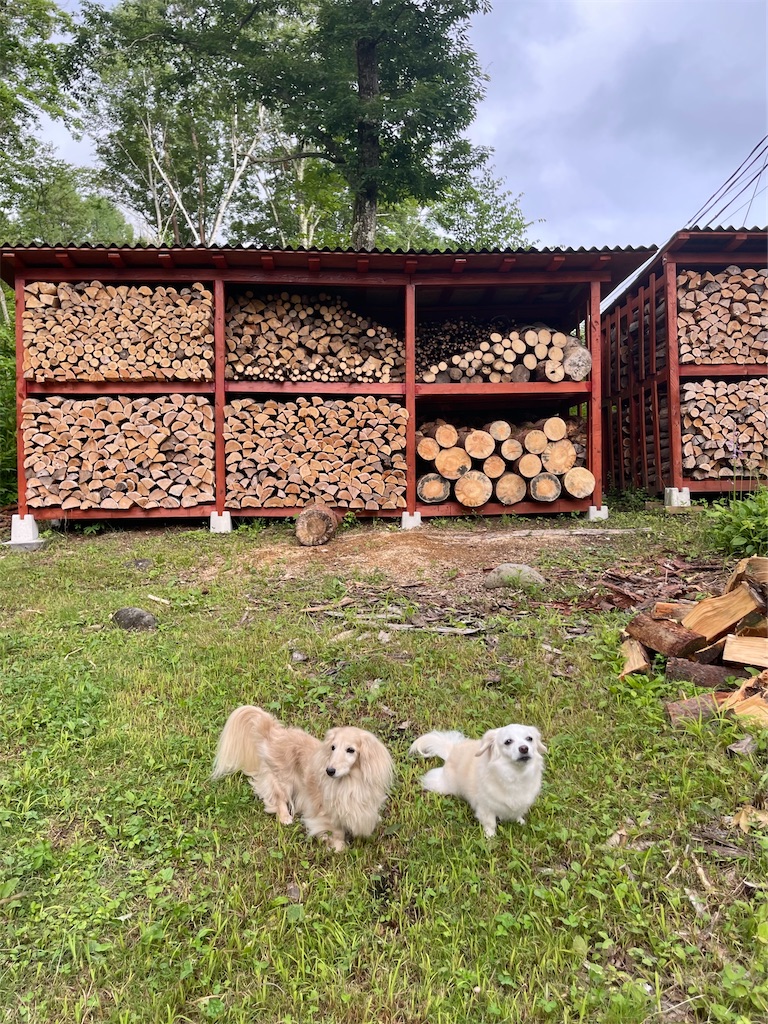 f:id:captaindog082:20220727223037j:image f:id:captaindog082:20220727223037j:image