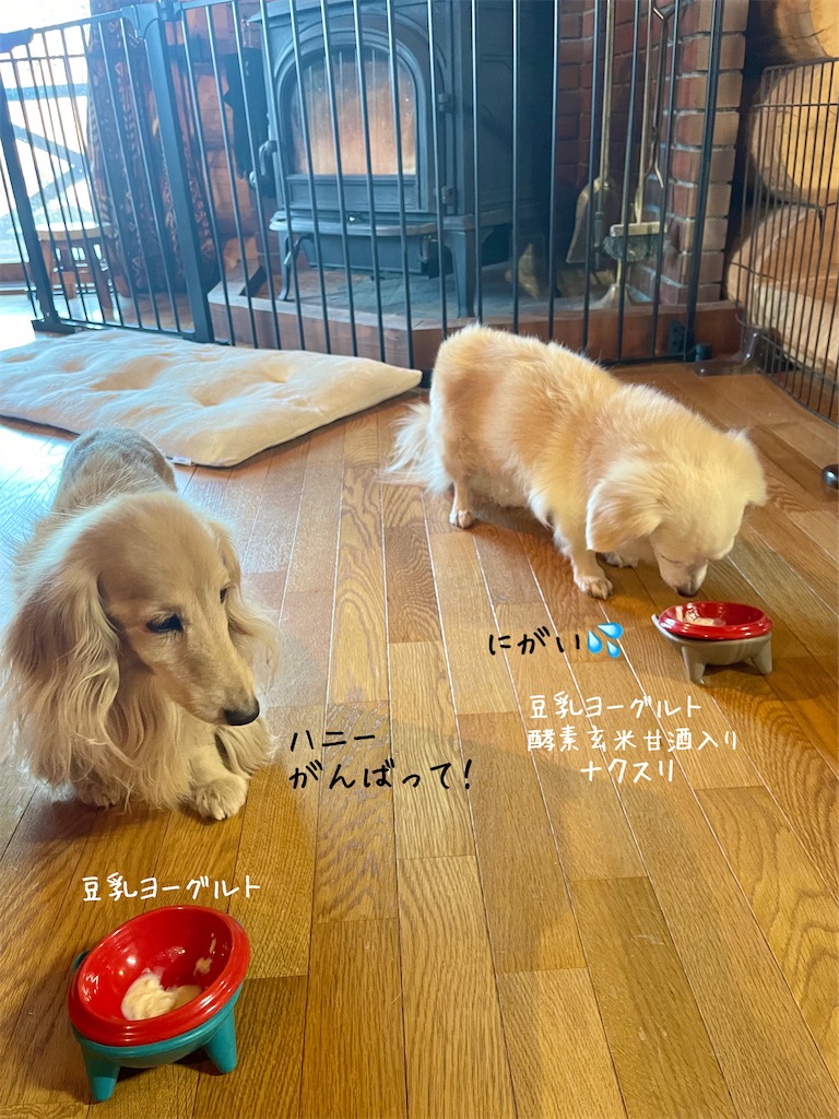 f:id:captaindog082:20230112203852j:image f:id:captaindog082:20230112203852j:image
