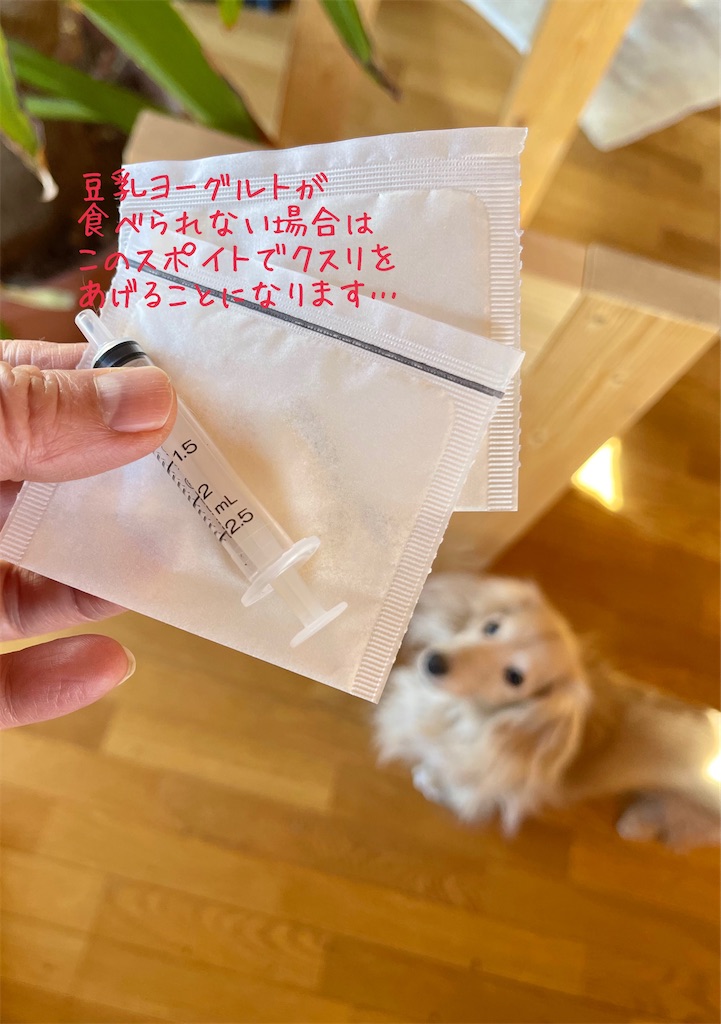 f:id:captaindog082:20230112203858j:image f:id:captaindog082:20230112203858j:image