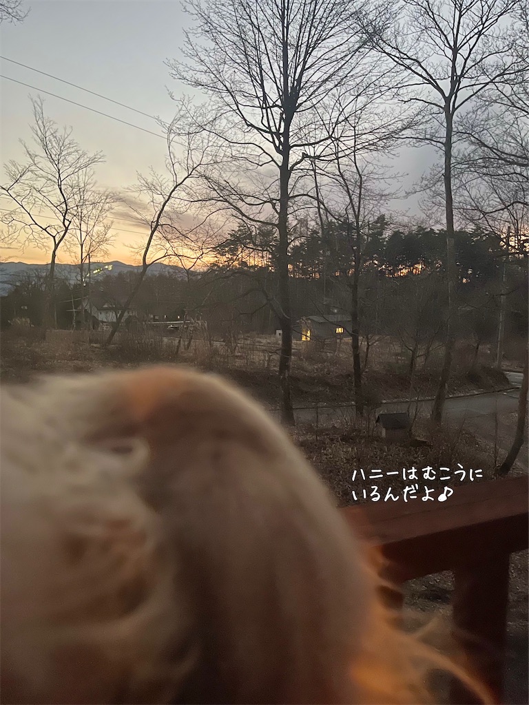 f:id:captaindog082:20230118230744j:image