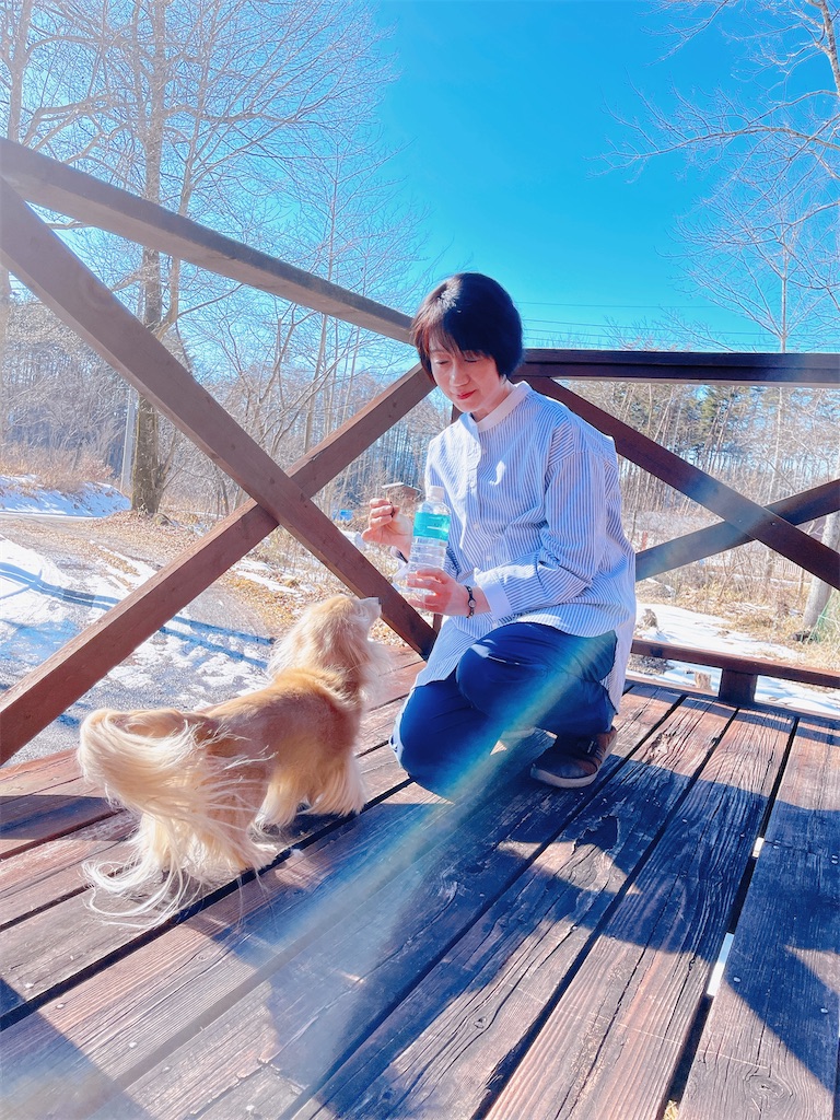 f:id:captaindog082:20230205223604j:image