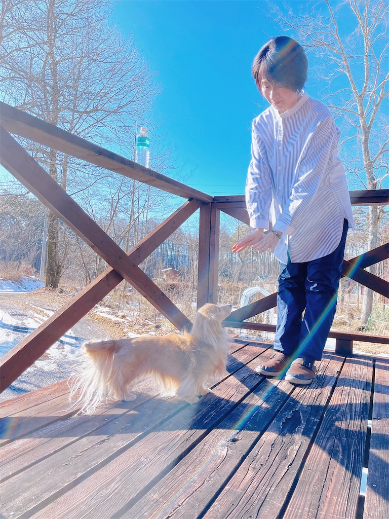 f:id:captaindog082:20230205223610j:image