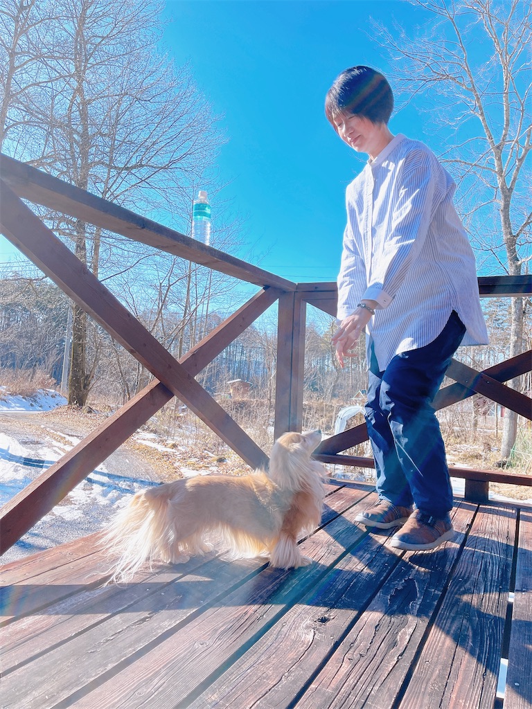 f:id:captaindog082:20230205223613j:image