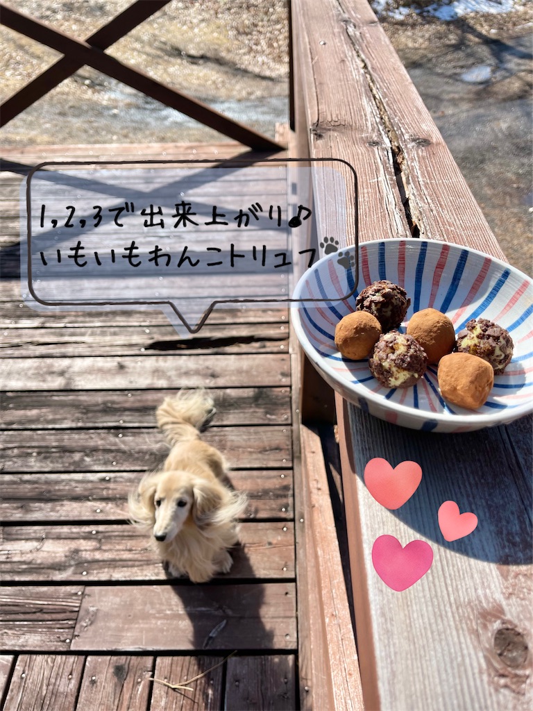 f:id:captaindog082:20230211141854j:image