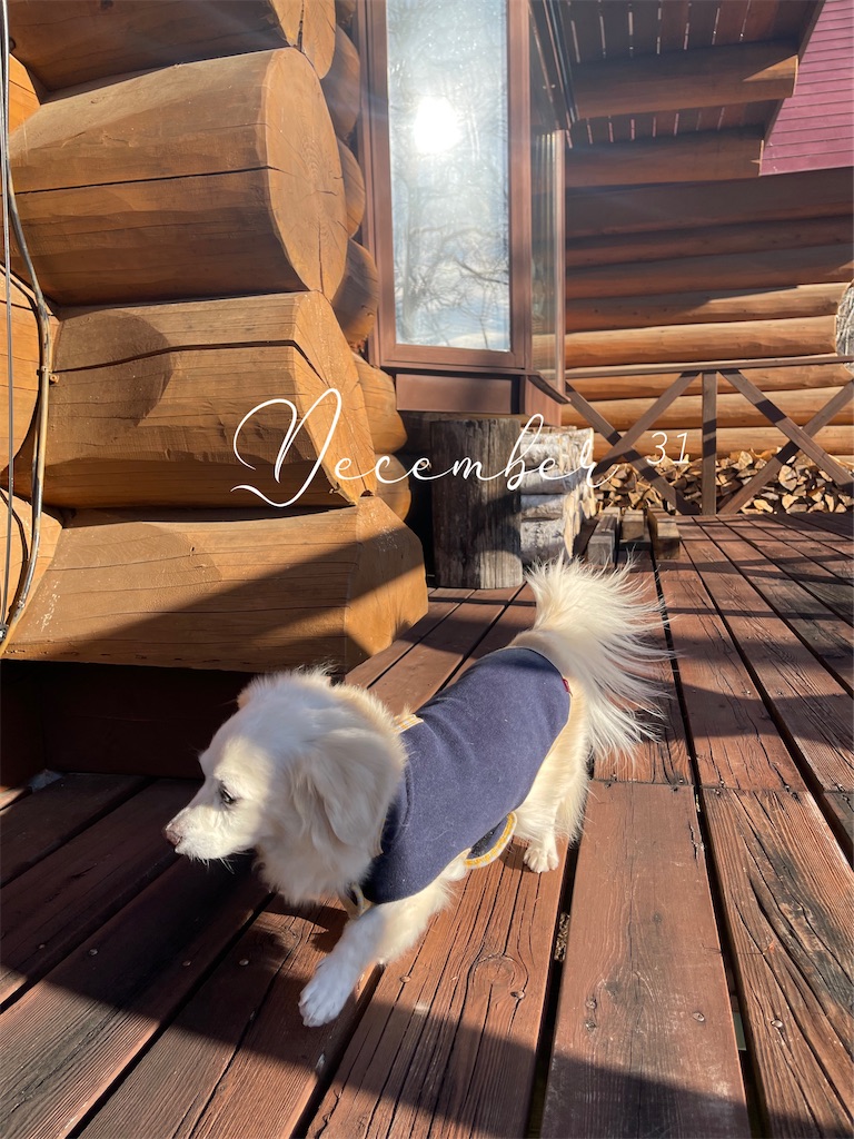 f:id:captaindog082:20230216075025j:image