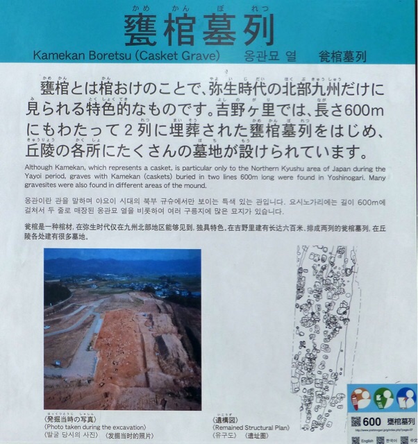 イメージ 6