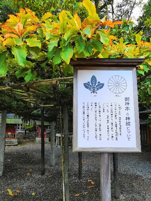 f:id:captainmukku77:20200531170505j:image f:id:captainmukku77:20200531170505j:image