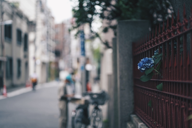 f:id:capturekyoto:20200708192032j:plain