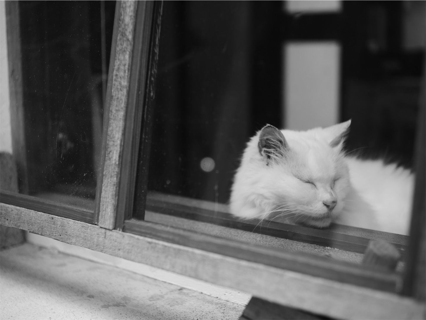 f:id:capturekyoto:20240301210429j:image
