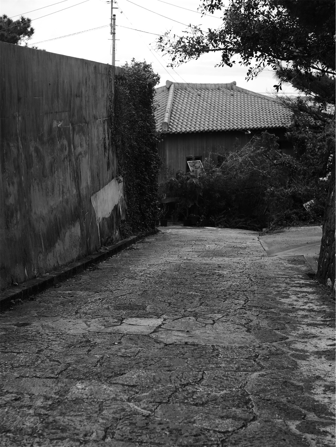 f:id:capturekyoto:20240301210516j:image