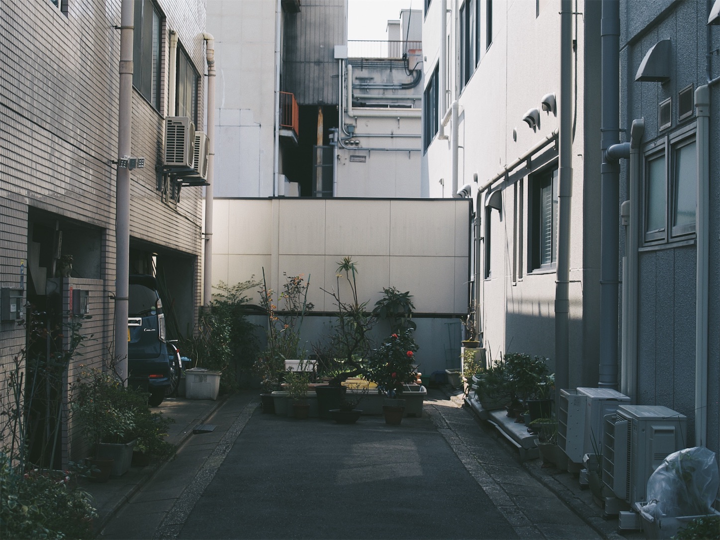 f:id:capturekyoto:20240320093943j:image