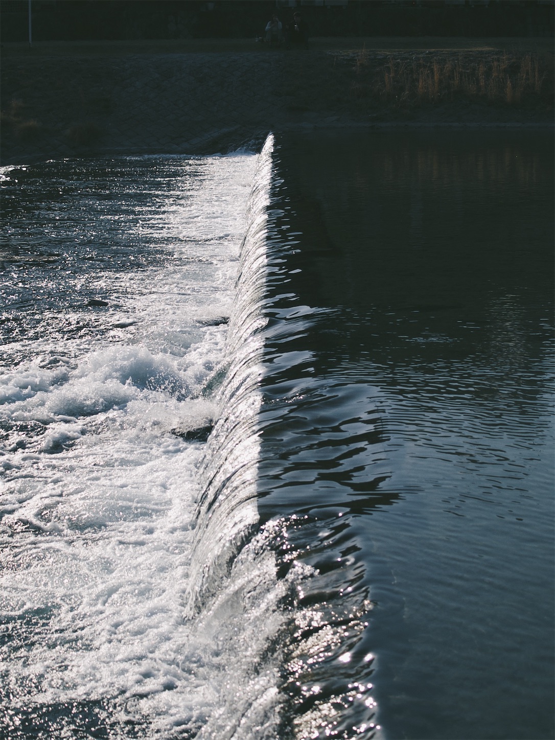 f:id:capturekyoto:20240320094003j:image