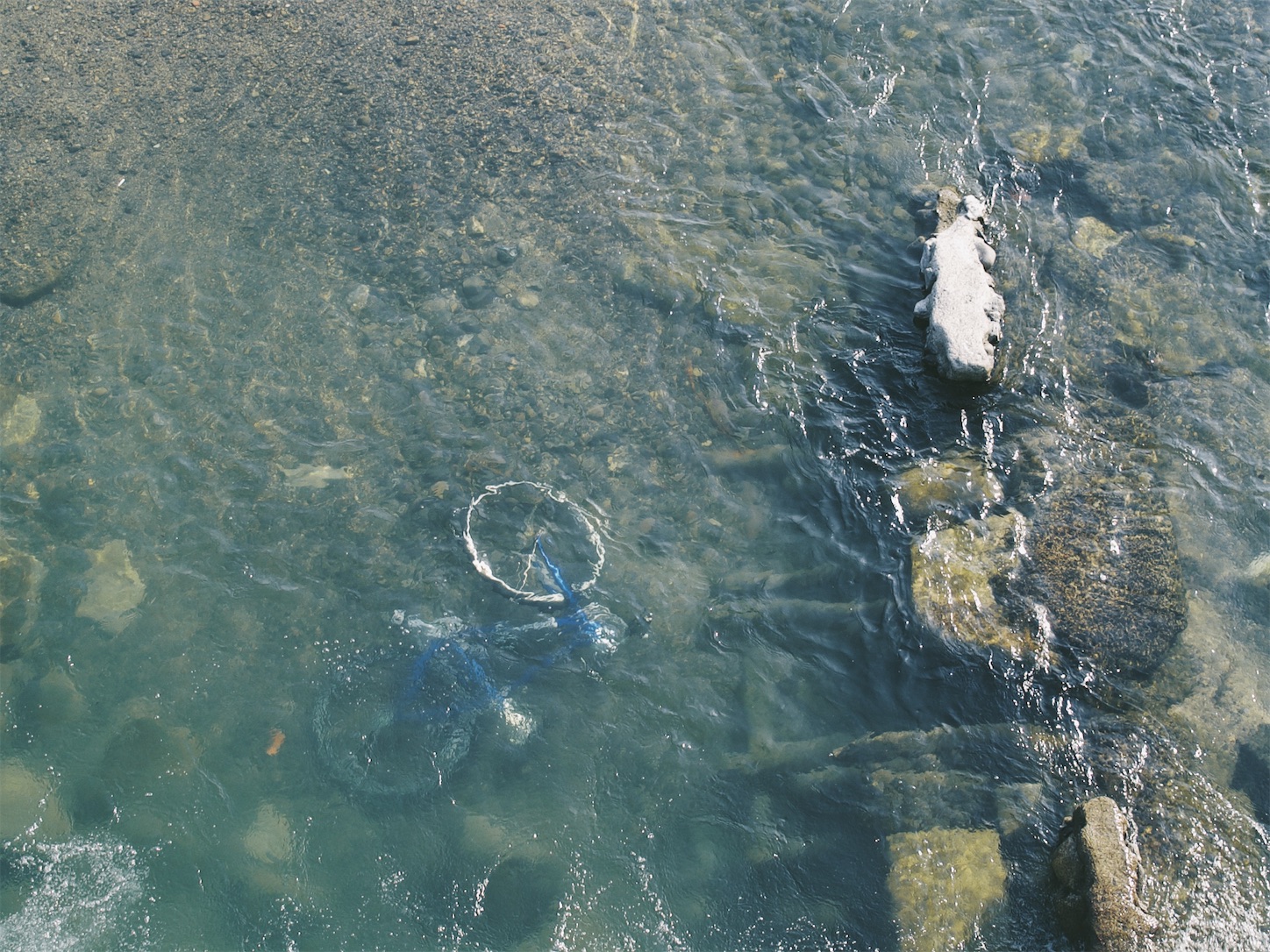 f:id:capturekyoto:20240320094007j:image