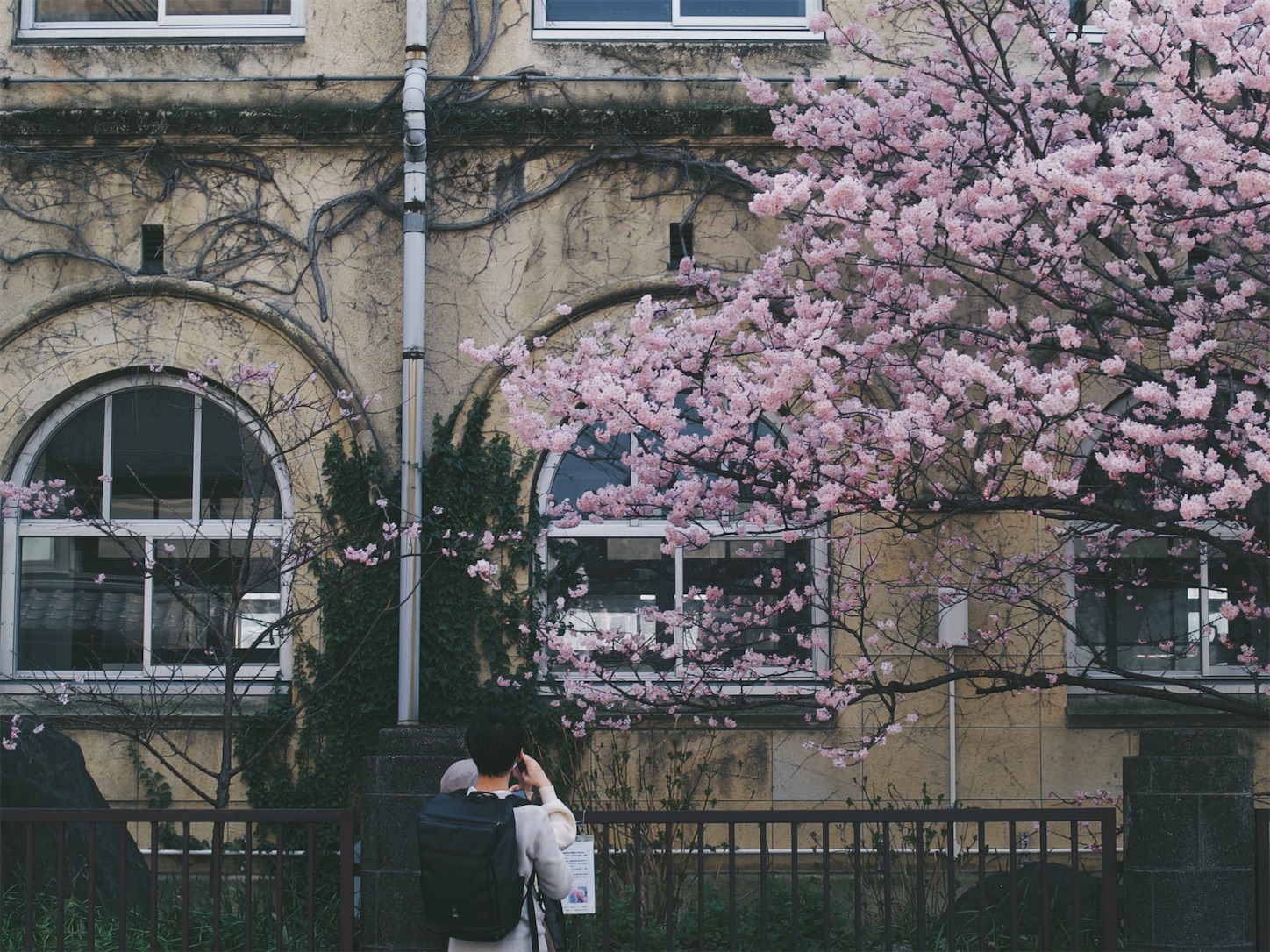 f:id:capturekyoto:20240320094011j:image